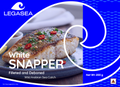 White Snapper Fillet